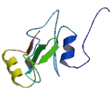 Ribosomal Protein, Large, P2 (RPLP2)