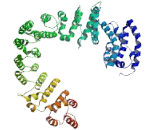 Ring Finger Protein 214 (RNF214)