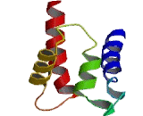 S100 Calcium Binding Protein A12 (S100A12)