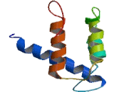 S100 Calcium Binding Protein A2 (S100A2)