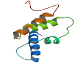 S100 Calcium Binding Protein A4 (S100A4)