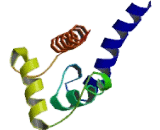 S100 Calcium Binding Protein B (S100B)