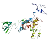 SID1 Transmembrane Family, Member 2 (SIDT2)