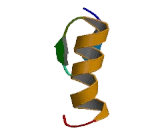 Sal Like Protein 4 (SALL4)