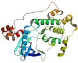 Salt Inducible Kinase 2 (SIK2)