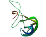 Sclerostin Domain Containing Protein 1 (SOSTDC1)