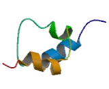 Sequestosome 1 (SQSTM1)