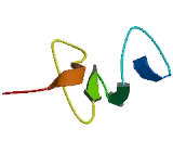 Signal Peptide, CUB Domain, EGF Like 1 (SCUBE1)