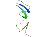 Signal Peptide, CUB Domain, EGF Like 3 (SCUBE3)