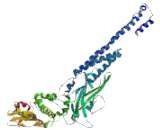 Signal Transducer And Activator Of Transcription 6 (STAT6)