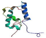 Signaling Threshold Regulating Transmembrane Adaptor 1 (SIT1)