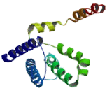 L090 | Sodium Channel Voltage Gated Type XI Alpha (SCN11a)- Cloud-Clone ...