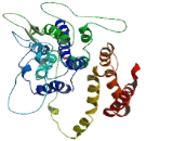 Solute Carrier Organic Anion Transporter Family, Member 1A6 (SLCO1A6)