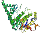 Sperm Adhesion Molecule 1 (SPAM1)