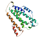 Stearoyl Coenzyme A Desaturase 2 (SCD2)