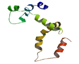 Steroid 5 Alpha Reductase 1 (SRD5a1)