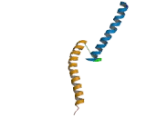 Sterol Regulatory Element Binding Transcription Factor 1 (SREBF1)