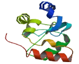 Stromal Membrane Associated Protein 2 (SMAP2)