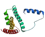 Succinate Dehydrogenase Complex Subunit C (SDHC)