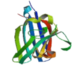 Superoxide Dismutase Copper Chaperone