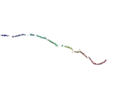 Synaptonemal Complex Protein 1 (SYCP1)