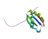 Synaptotagmin Binding, Cytoplasmic RNA Interacting Protein (SYNCRIP)