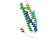 Syntaxin 1A, Brain (STX1A)