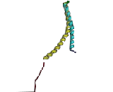 Synuclein Alpha (SNCa)