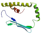 T Complex Protein 10 Like Protein 2 (TCP10L2)