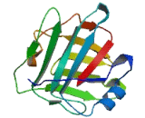 TBC/LysM Associated Domain Containing Protein 1 (TLDC1)