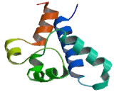 Target Of The Antiproliferative Antibody 1 (TAPA1)