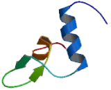 Taste Receptor Type 1 Member 1 (TAS1R1)