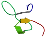 Thrombomodulin (TM)