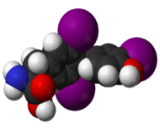 Thyroxine (T4)