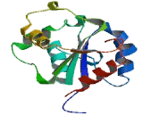 Toll Like Receptor Adaptor Molecule 2 (TICAM2)