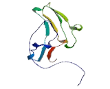 Transition Protein 2 (TNP2)