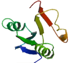 Transketolase (TKT)