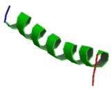 Translocation Protein 1 (TLOC1)