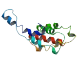 Transmembrane Protein 132C (TME<b>M132</b>C)