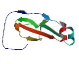 Transmembrane Protein 171 (TME<b>M171</b>)