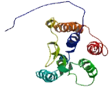 Transmembrane Protein 173 (TME<b>M173</b>)