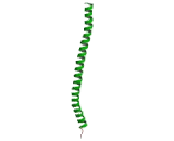 Tropomyosin 4 (TPM4)