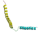 Troponin T Type 3, Fast Skeletal (TNNT3)