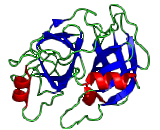 Trypsin (TRY)