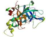 Tryptase (TPS)