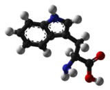 Tryptophan (Trp)