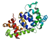 USP6 N-Terminal Like Protein (USP6NL)