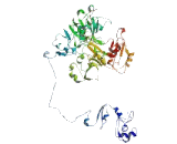 UV Stimulated Scaffold Protein A (UVSSA)