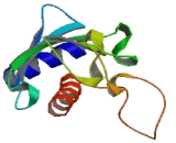 Ubiquitin Conjugating Enzyme E2G (UBE2G)