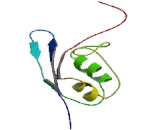 Ubiquitin Fold Modifier Protein 1 (UFM1)